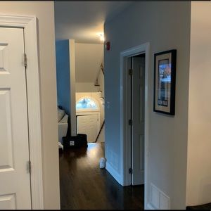 Meet your Posher, Walter